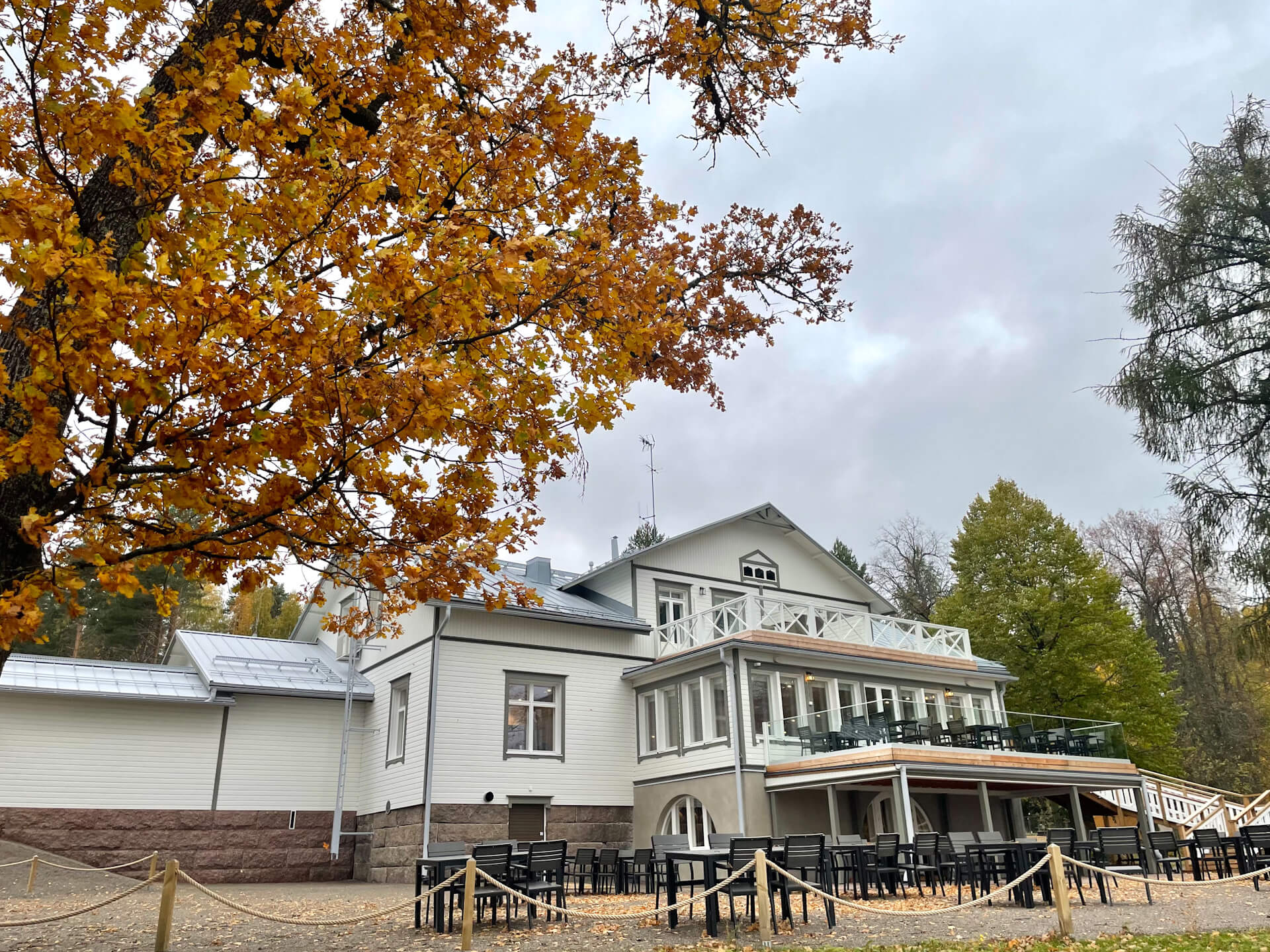 kartano_ja_tammi_syksyllä_kansikuva